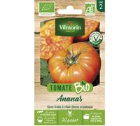 Graines - Vilmorin - Tomate Ananas - BIO