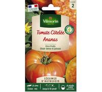 VILMORIN Tomate Ananas Vilmorin série 2 légumes d'autrefois