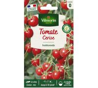 Vilmorin Graines Tomate cerise rouge – sachet