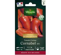 Vilmorin Tomate Cornabel F1 - Graines d'Exception
