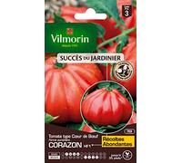 Vilmorin – Graines d'Exception – Tomate Cœur de Bœuf Corazon HF1