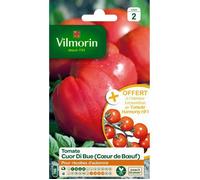 VILMORIN Tomate Cœur de Bœuf Sachet de graines