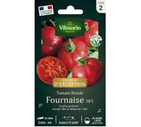 Vilmorin Tomate Fournaise F1 - Graines d'Exception