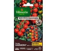 Vilmorin Tomate Harmony
