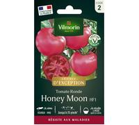 Vilmorin Tomate Honey Moon F1 - Graines d'Exception