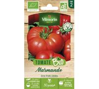 Vilmorin Tomate Marmande Vr Bio | Grosse, Côtelée, Parfumée, Précoce, Gros fruits côtelés 160-200 g