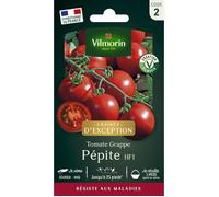 Vilmorin Tomate Pépite F1 - Graines d'Exception