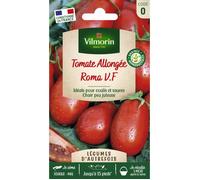Vilmorin Tomate Roma - Légumes d'Autrefois