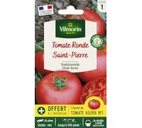 VILMORIN Tomate Saint-Pierre Sachet de graines - Echantillon tomate Agora