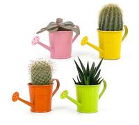 Vimin Box Lot de 4 mini arrosoir, pot décoratif, pour plantes succulentes, petites fleurs, décoration maison, jardin, balcon