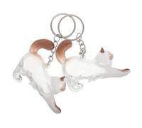 VINTORKY Porte-clés Capsule en Plastique et Alliage de Chat Lot de 2 Boîte Commémorative Portable et Résistante la Décoloration pour Poils d'animaux Usage Quotidien