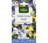 Graines - Vilmorin - Viola Cornuta Variée