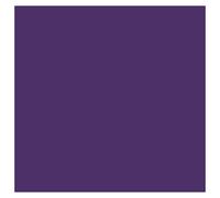 Violet 047 / 960 Pot De Peinture Acrylique 17ml - Prince August