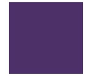 Violet 047 / 960 Pot De Peinture Acrylique 17ml - Prince August