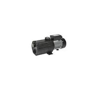 Vipool - Surpresseur Norystar P 5m 1,50 Cv - Monophasé