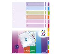 Viquel - Lot de 12 Intercalaires A4 Intercolor - Intercalaires en plastique pour classeur A4 - Onglets colorés