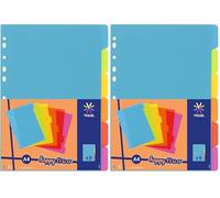 Viquel - Lot de 12 intercalaires en plastique - Format A4 (21x29,7cm) - Pour classeur A4 - Coloris fluo