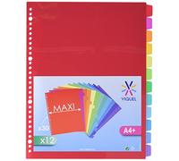 Viquel - Lot de 12 Intercalaires plastique format A4 Maxi - Perforation 30 trous - Intercalaires scolaires ou bureau