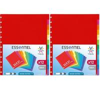 Viquel - Lot de 24 Intercalaires Maxi A4 avec perforation spéciale pour porte vues GEODE à pochettes amovibles
