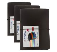 Viquel Mini Trieur extensible 6 positions Rainbow Class (Lot de 3)