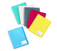 Viquel Porte vues Géode A4 - Polypropylène - 30 pochettes - 60 vues - Assortis