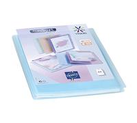 Viquel - Protège documents personnalisable - Reliure Format A4 - Porte vues 120 Vues (60 pochettes) Propysoft - Pochettes transparentes et lisses - Bleu translucide