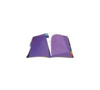 Viquel Protège-Documents Rainbow 12 Onglets Couleur. Format A4 , Coloris Noir
