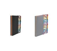 Viquel Rainbow Class - Trieur accordéon 12 compartiments en plastique - Pochette extensible pour classer et transporter des documents - Rangement papier format A4 & Trieur Document