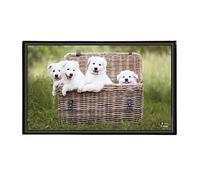 Viquel Sous main bureau motif Chien - Protection de bureau chiots