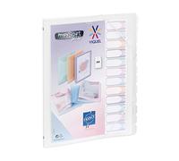Viquel - Trieur 12 compartiments A4 personnalisable Propysoft - Fermeture élastique - Incolore