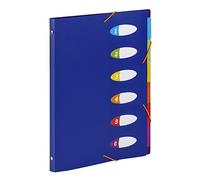 Trieur plastique extensible Business HAPPY FLUO - Viquel 6 compartiments Format A4