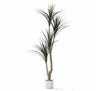 Virimolo Artificielle Yucca 165cm en Pot