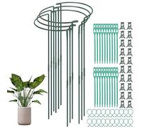 VirtuGro 6 Pièces 25 x 65 cm Tuteur pour Plantes, Demi Rond Piquets de Plantes de Jardin en Métal Plantes Anneau de Support Vertes pour Légumes, Tomates, Hortensia, Pivoines et Roses
