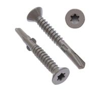 Vis à Métal 6.3mm Autotaraudeuses Torx à Tête Plate Autoperceuse (lot de 100) Utilisation Extérieure Avec Protection Anti-corrosion C4 pour Tôles/Toitures/Fenêtres Fixation DIN7504 P (6.3mm x 90mm)