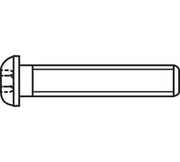 Toolcraft - Vis à Tête Bombée 839803 100 Pc(s) M4 30 Mm Tête Bombée 6 Pans Intérieurs Acier Inoxydable