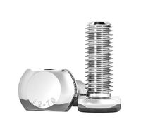 Vis à tête cylindrique à gorge en T en acier inoxydable 304 M5 M6 M8 M10 M12 for rails à fente(M10x110mm 2pcs)