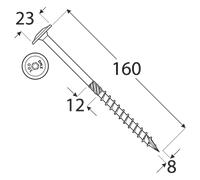 CT Lot de 50 vis à tête plate Torx TX avec tête plate Jaune galvanisé 8 x 160 mm