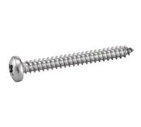 Vis à tôle tête cylindrique bombée A4 DIN 7981 5.5X38 boîte de 200 - ACTON - 644055,5X38 Noir G