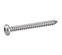 Pozidrive Tête Cylindrique Vis auto-foreuse Inox A2 6,3x80 boîte 100 DIN 7981