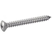 62411 Vis autoforeuse Pozidrive Tête fraisée bombée 4,2x19