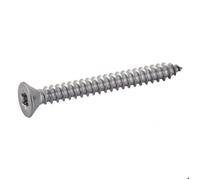 Acton Vis à tôle tête cylindrique large Torx inox 3,5x25 B200
