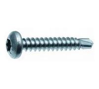Vis autoforeuse TC Torx acier zing 4.8X45 bte de 250 Scell-it
