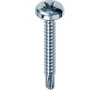 Vis autoperceuse tête cylindrique zinc 4,8 x 70 mm X fer 100 pièces