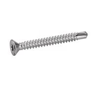 Vis autoperceuse TF 3.9x25 torx boite de 500 Acton