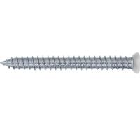 Vis Autotaraudeuse Torx Blanche Fixation Autotaraudeuse Torx Robuste Et Rapide. - Rawlplug