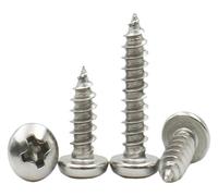 Vis autotaraudeuses en acier inoxydable 304 | M1.6-M2.6, 2-30 mm, 100 pièces : travail du bois, réparation à domicile, traitement des métaux(10mm,M2.5)