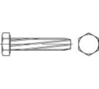 Vis autotaraudeuses TOOLCRAFT 141697 50 pc(s) M8 50 mm tête hexagonale 6 pans extérieurs acier N/A