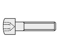 Toolcraft - Vis Cylindrique 839661 20 Pc(s) M2 16 Mm Tête Cylindrique 6 Pans Intérieurs Acier N/a