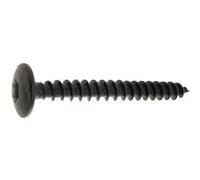 Vis de penture à tête ronde large Torx acier noir 6X100 boîte de 100 - ULTIMA - 13360100 Noir G