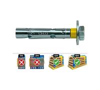 Vis Dnbolt Dt10-c M10x60 Zinc Plat Fixation Robuste M10x60, Finition Zinc - Celo